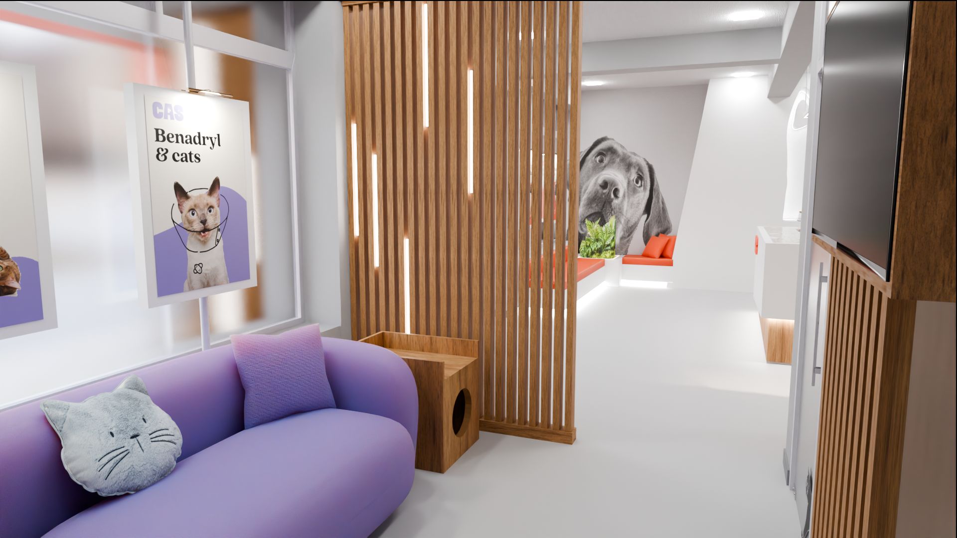 Zona de espera da Animal do Sul, com chaise roxo, almofada em forma de gato, divisória de ripas de madeira e um cartaz sobre gatos.